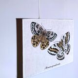 90s fabric butterfly suspension