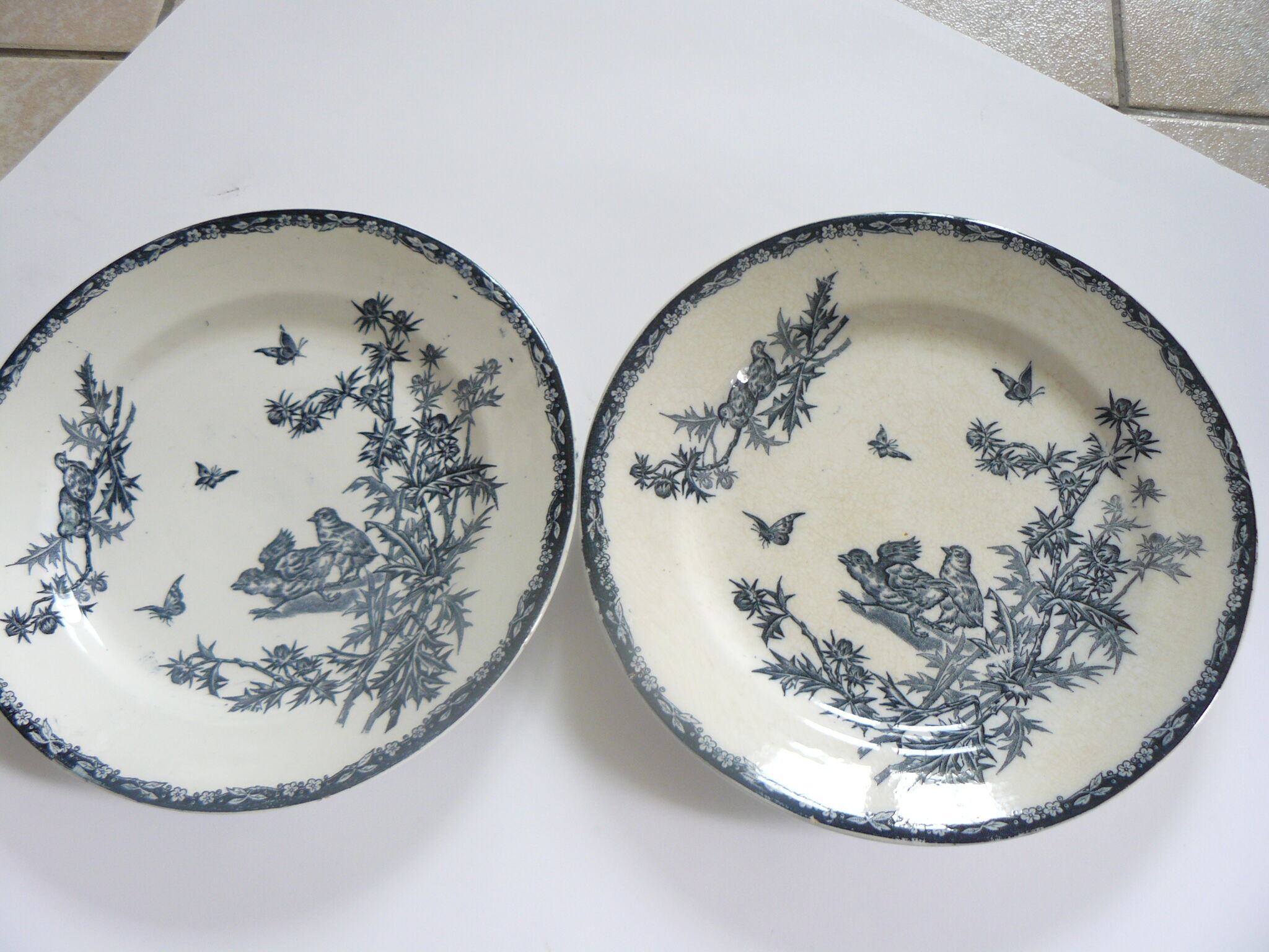 Lot of 2 dinner plates model railway land "chick"