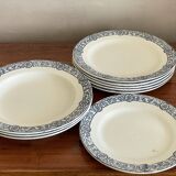Plates Salins blue earth of iron
