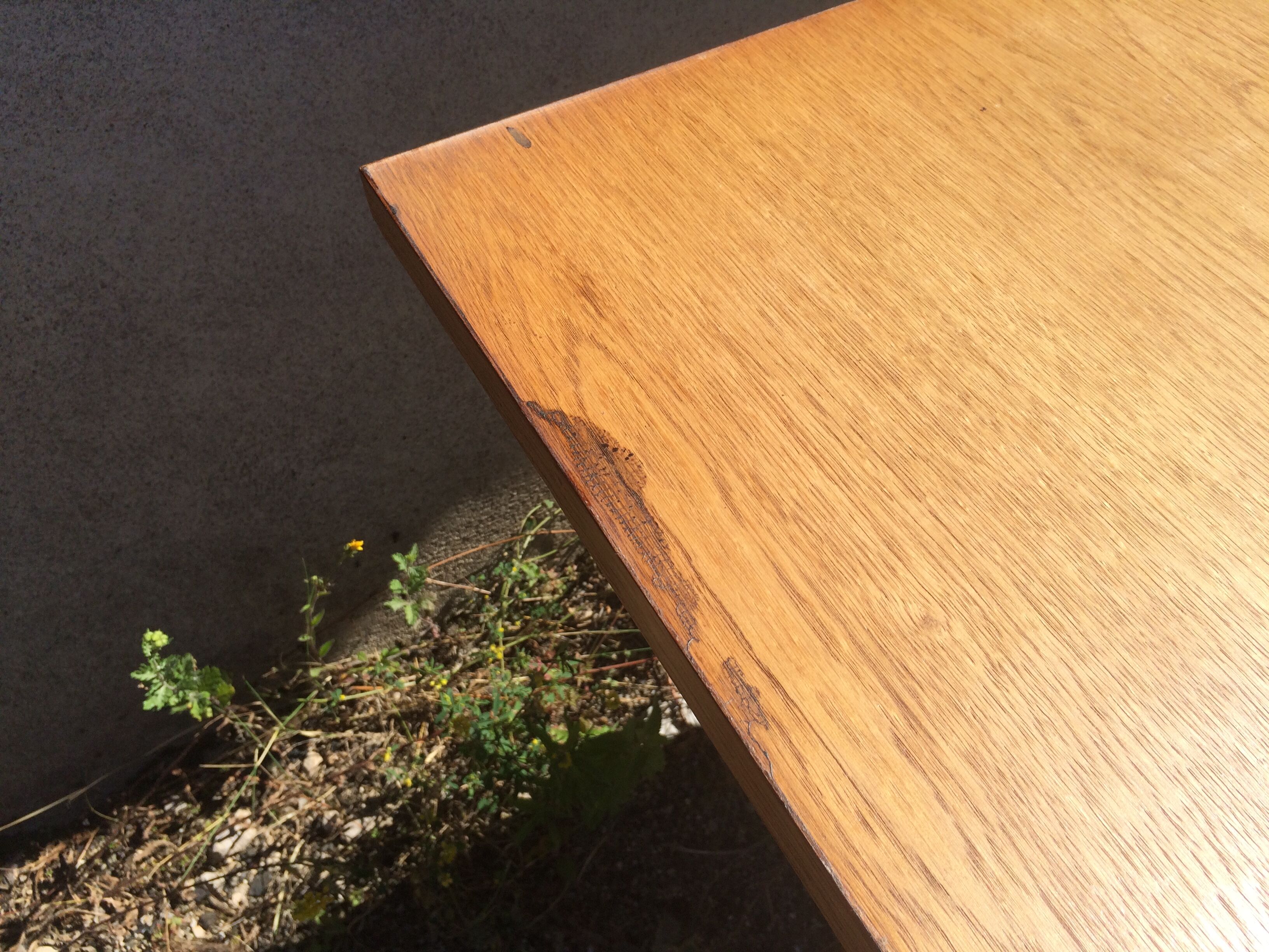 Table portfolio foot compass 50s