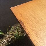 Table portfolio foot compass 50s