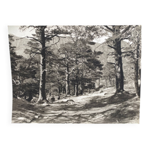 Photographie argentique - bernard