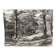 Silver gelatin photograph by Bernard Darot, Undergrowth, 20th century