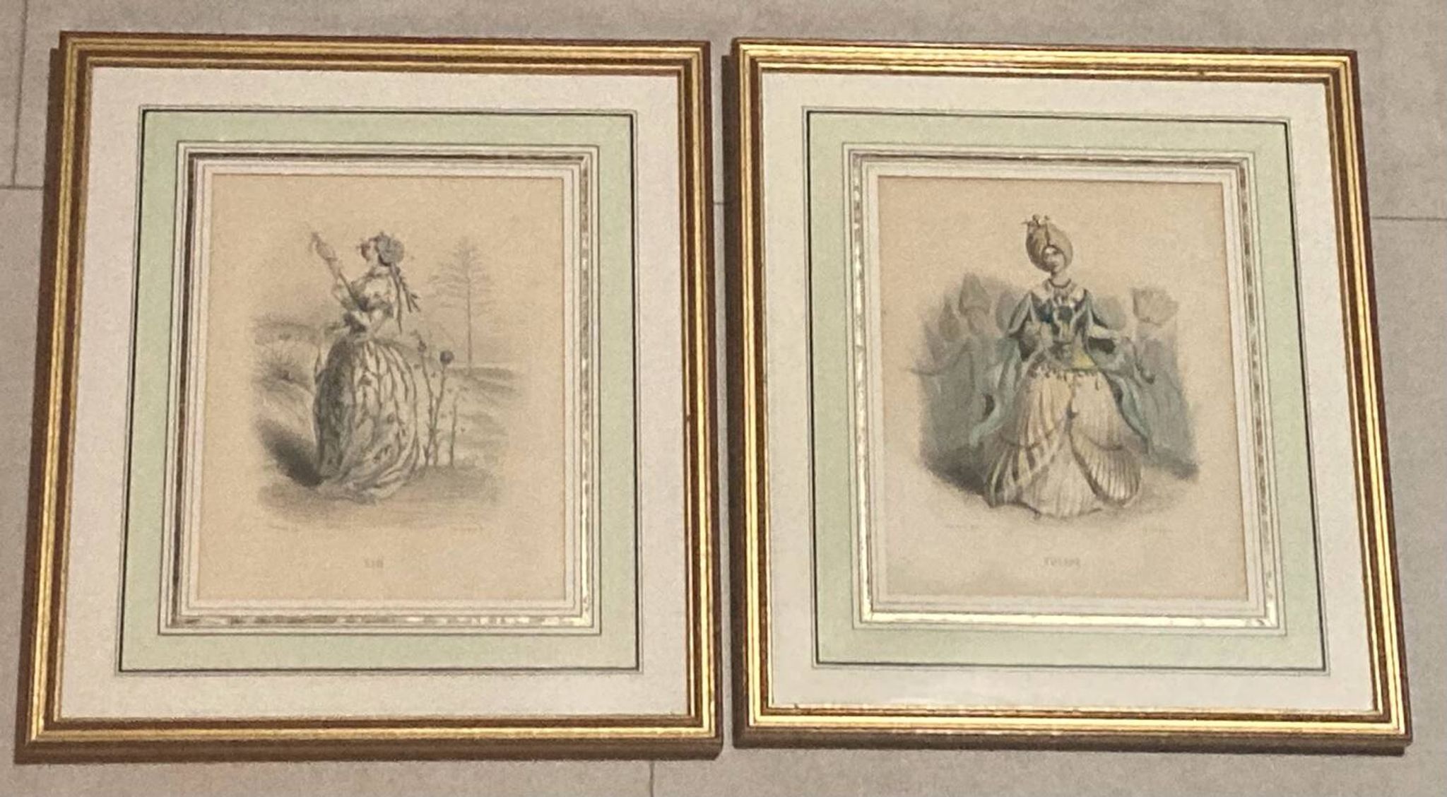 Lot 2 framed engravings "animated flowers" JJ Grandville: Linen and Tulip