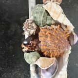 Centre de table vintage en coquillages naturels