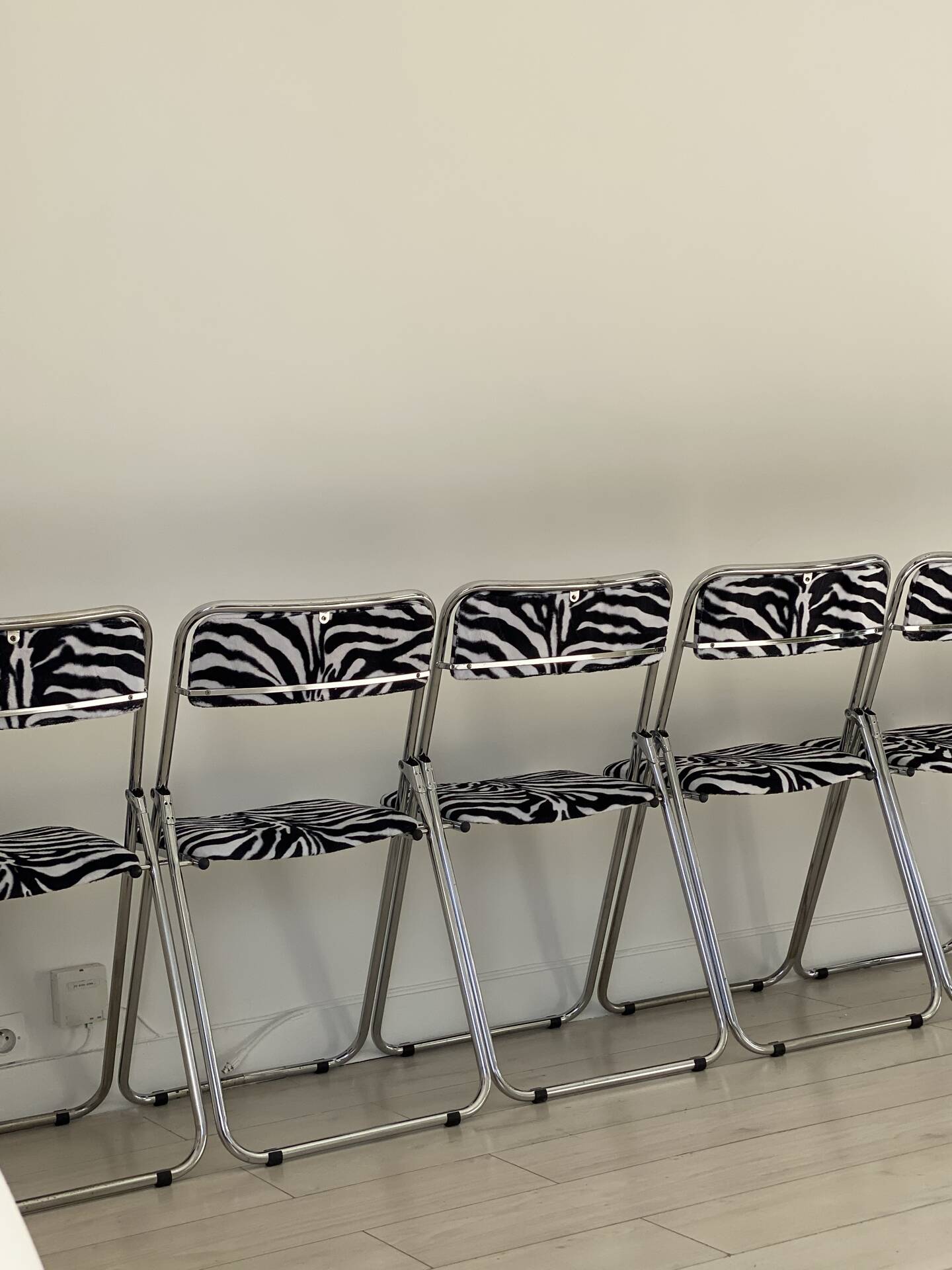 6 zebra folding chairs