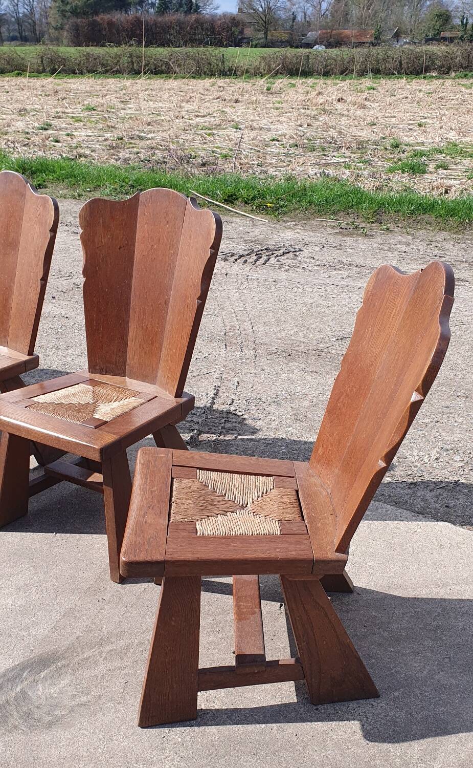 Ensemble de 5 anciennes chaises de feu en chêne à faible dossier, tressées de jonc, de style rural néerlandais.