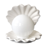 Shell lamp