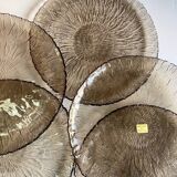 5 assiettes Arcoroc verre fumé fleur