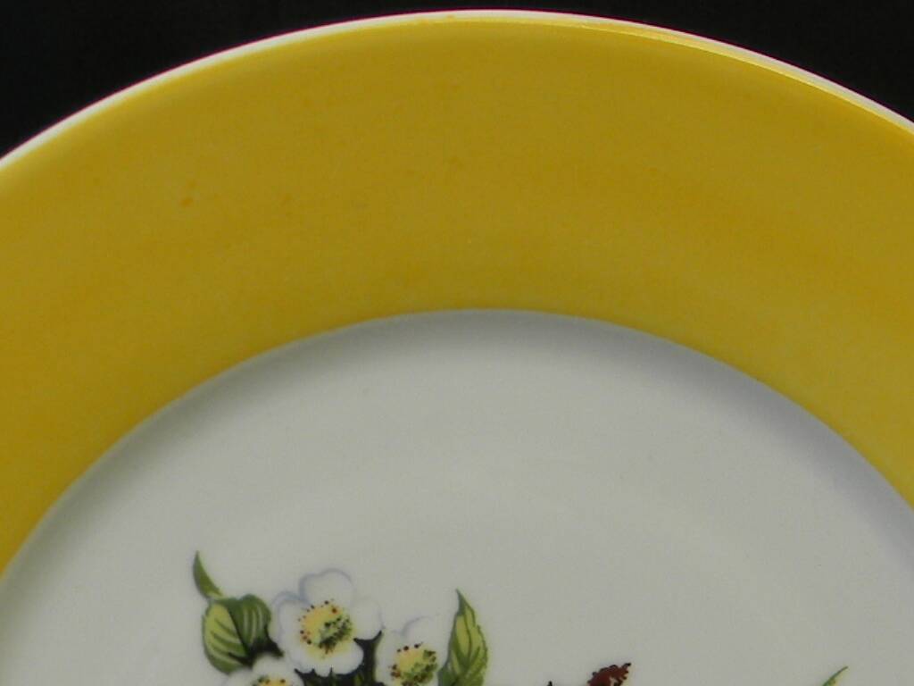 6 flat plates in porcelain from LIMOGES. Fruit decoration.