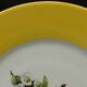 6 flat plates in porcelain from LIMOGES. Fruit decoration.