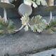 Large painted metal wall lamp with two arms vine/grape decoration
