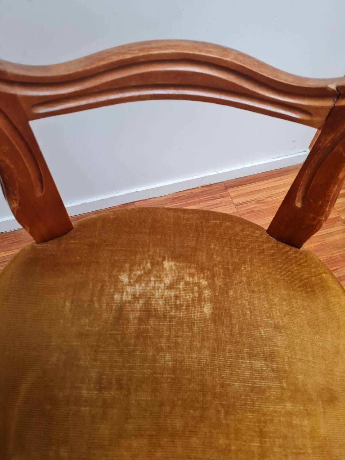 Pair of wooden chairs with velvet seats