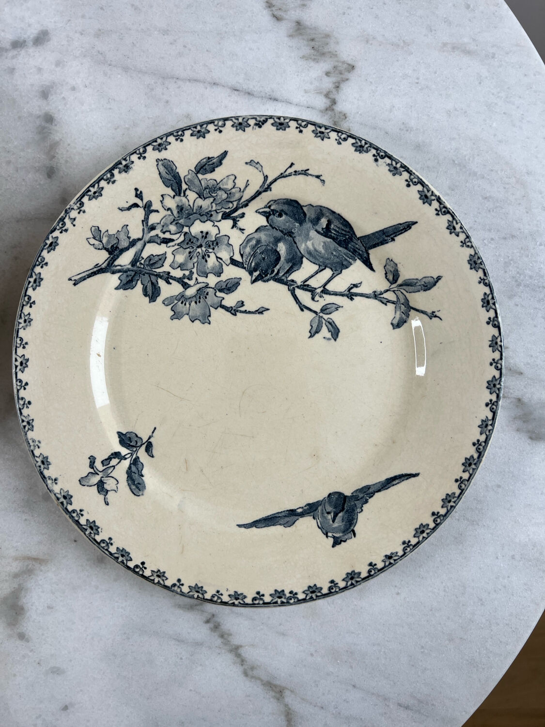 Set of two ironstone plates Sarreguemines Digoin favourite