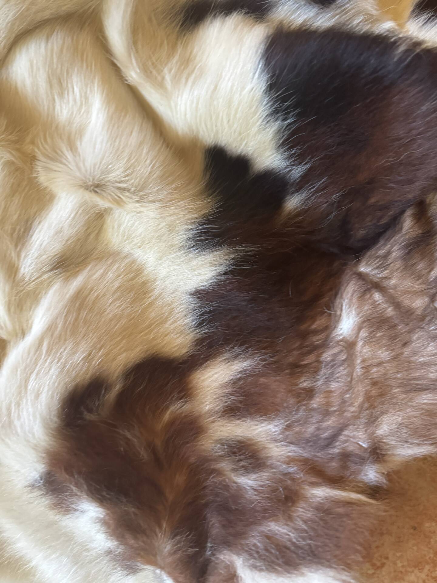 Genuine leather rug – Natural leather