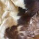 Genuine leather rug – Natural leather