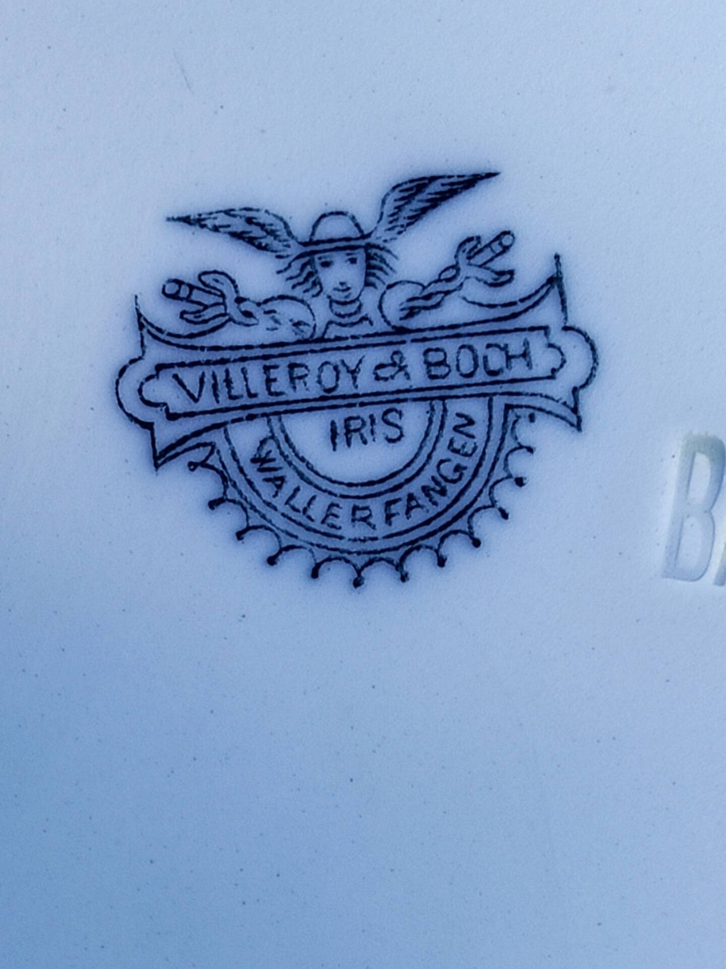 Large plate Villeroy and Boch - Iris model