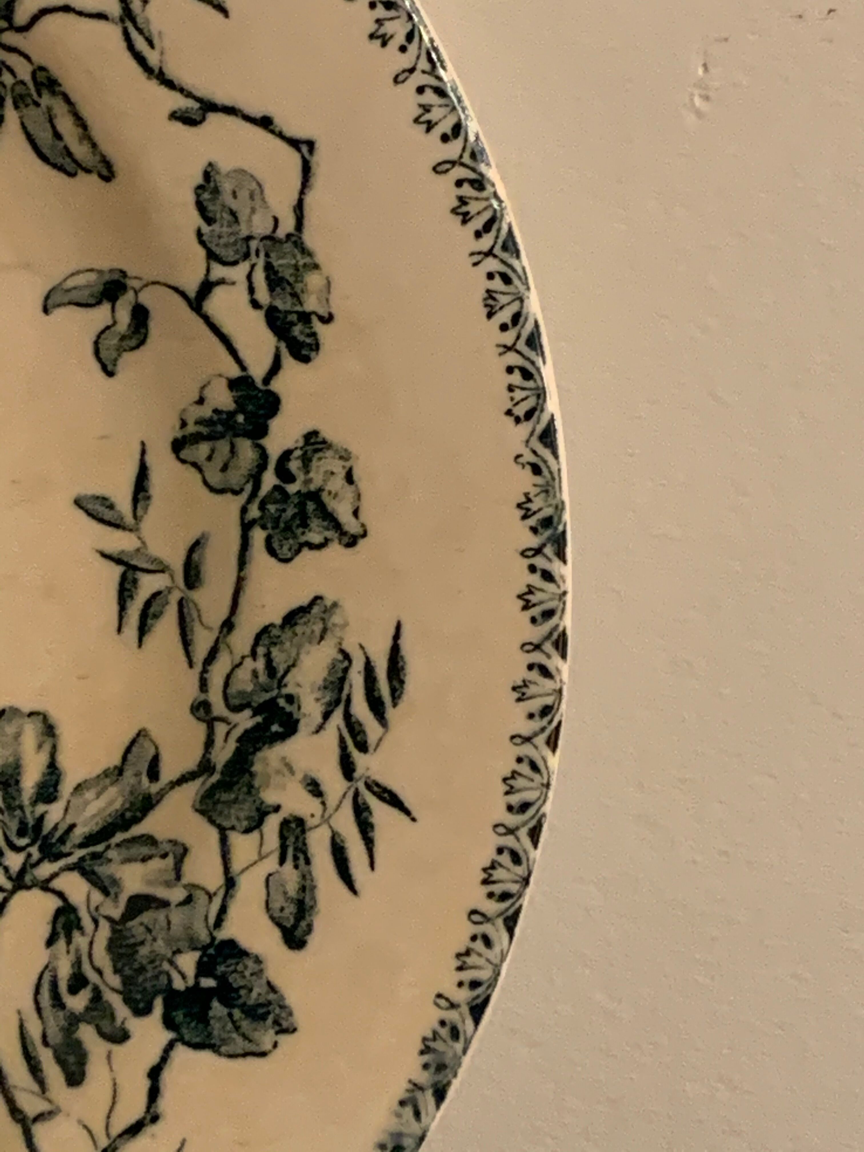 6 old blue flat plates La Samaritane Terre de Fer