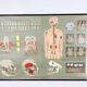 Educational pull-down Jung Koch school map human anatomy chart