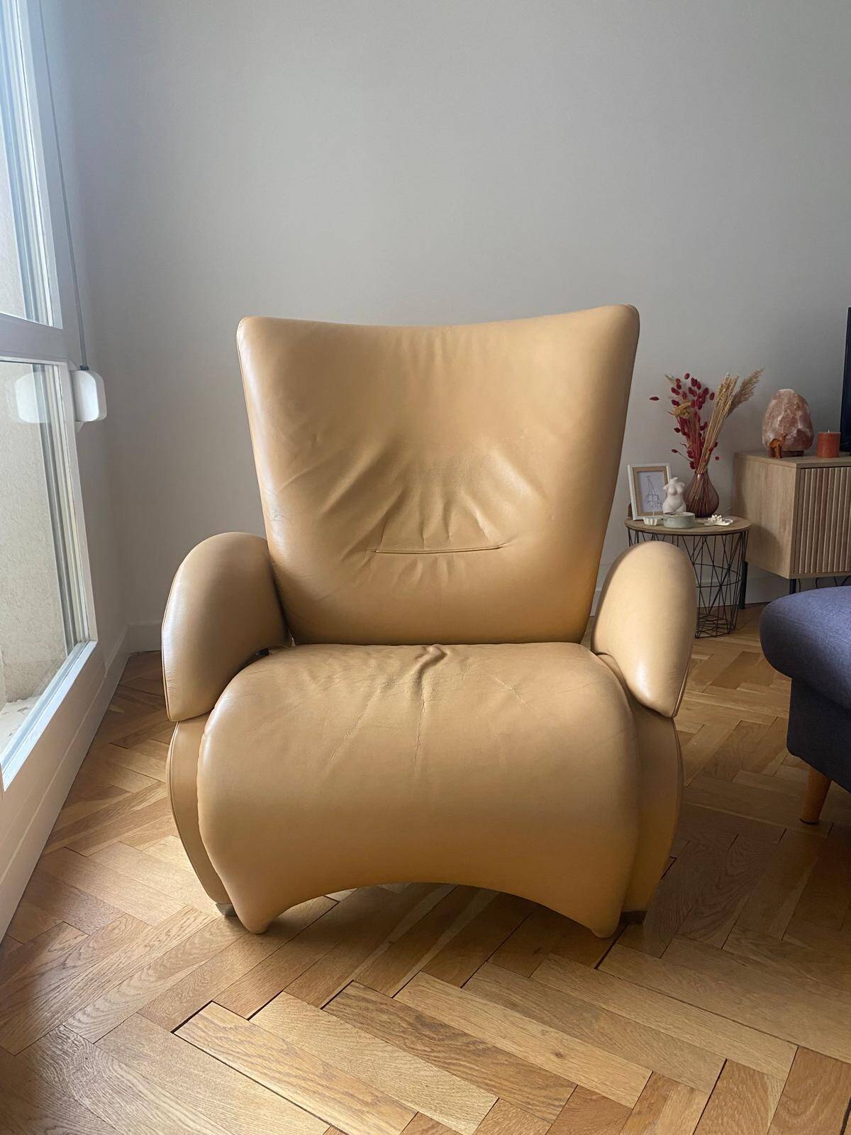 Fauteuil De Sede DS-260