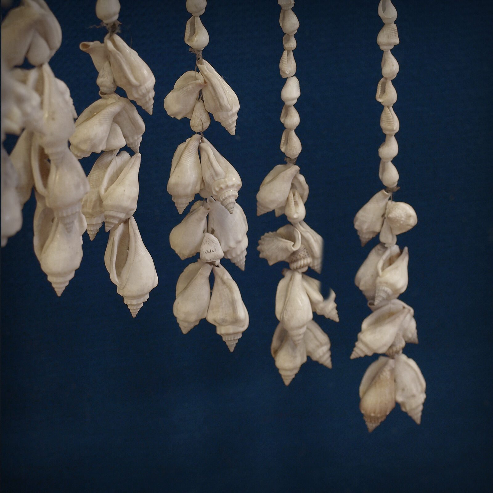 Balinese hanging lamp in curly shells