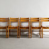 Set of 5 French Vintage Mid Century Dining Chairs in Elm, 1960s