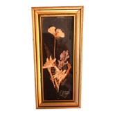 Herbier ancien sous verre