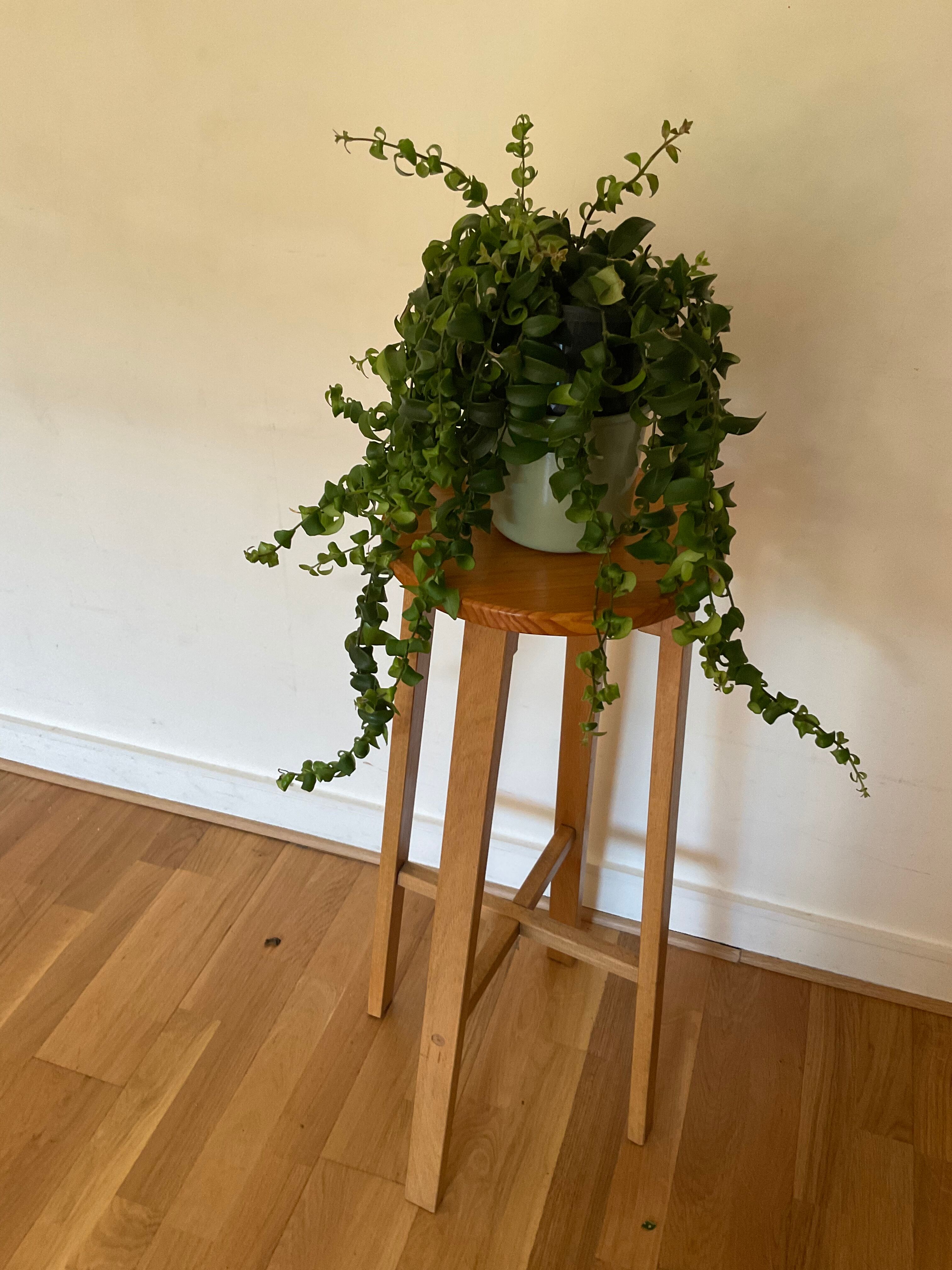 Scandinavian stool or side table