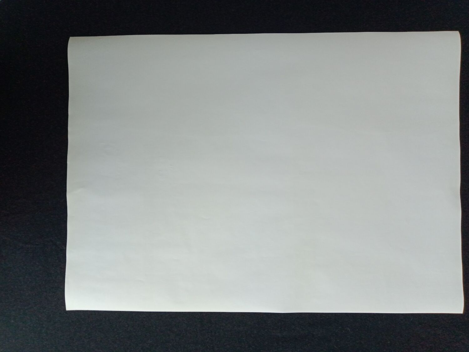 Exhibition poster Autographed cutter