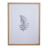 “La rameau” screen print in limited edition