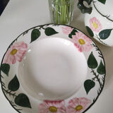 Wild Rose Villeroy & Boch soup dish and plate