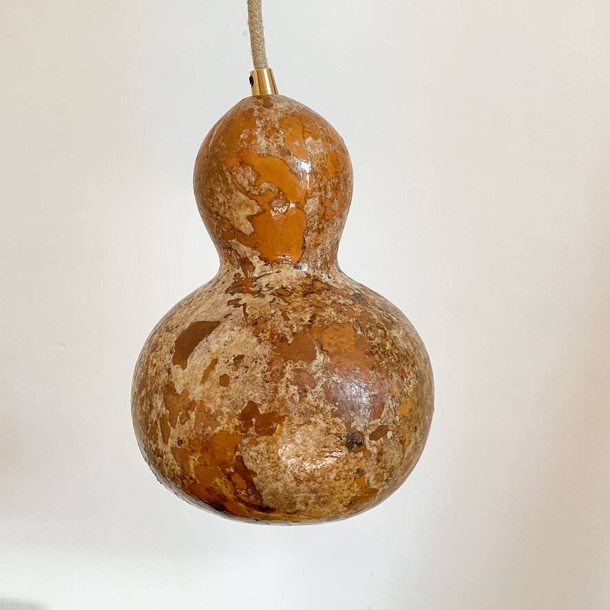 Calabash plant lamp
