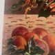 Still life with fruits and flowers – oil painting on canvas from the 20th century, a caress for the eyes.