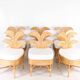 Set of 6 rattan chairs "palm tree"