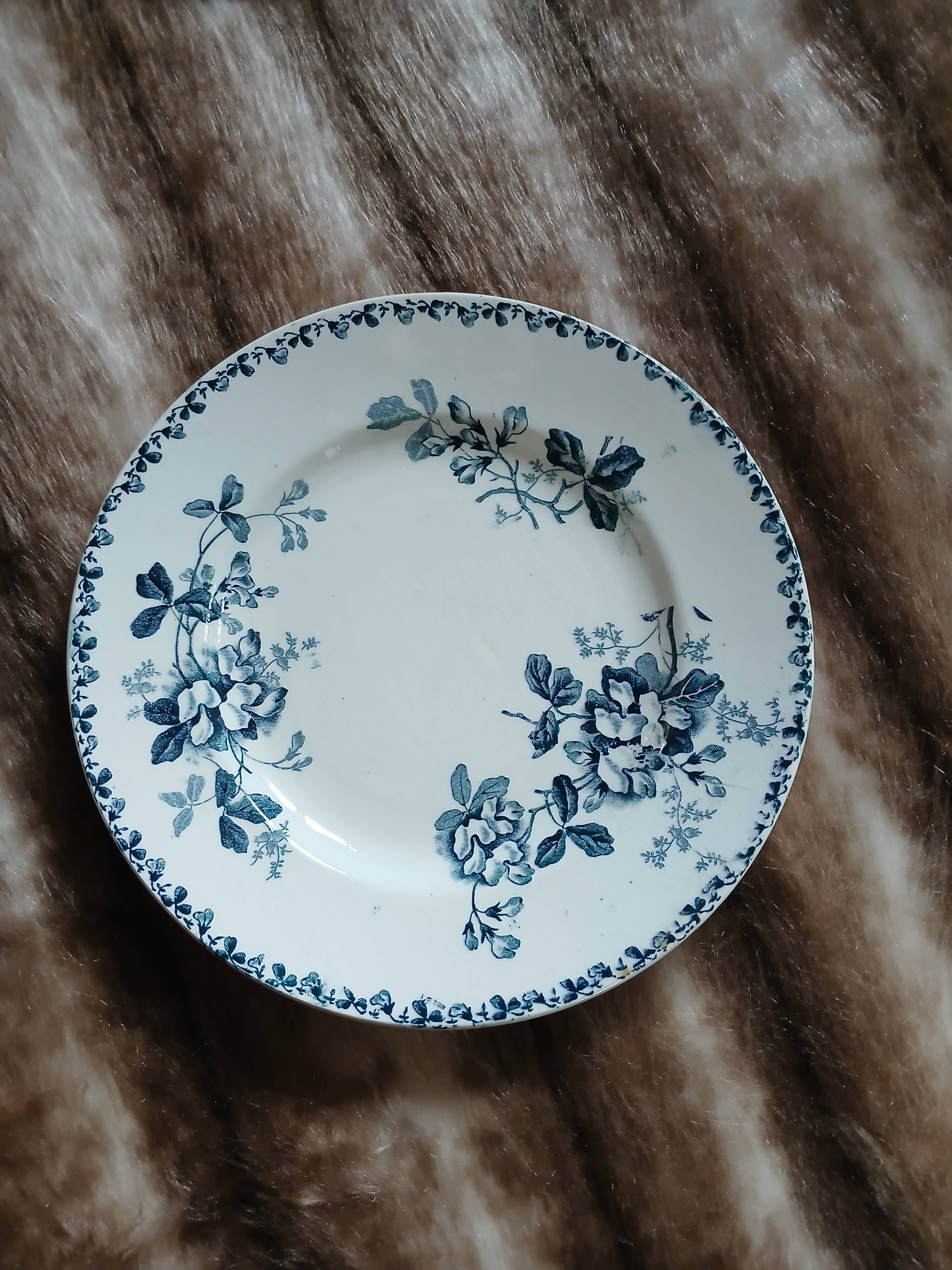 6 antique flat plates in ironstone