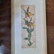 Vintage flower illustration