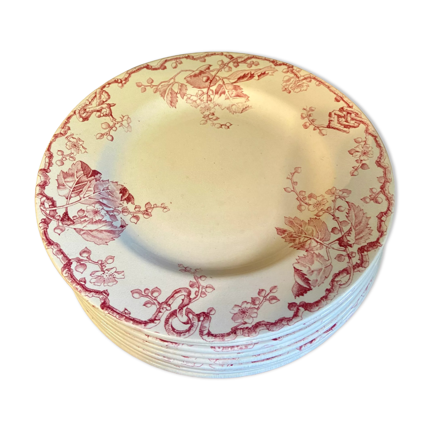 10 plates Terre de Fer Rouge