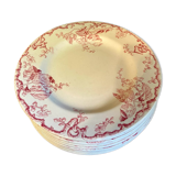 10 plates Terre de Fer Rouge