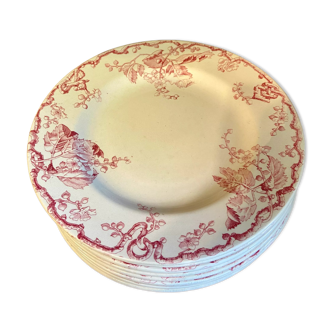 10 plates Terre de Fer Rouge