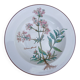 Villeroy and Boch deep plate