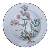 Villeroy and Boch deep plate
