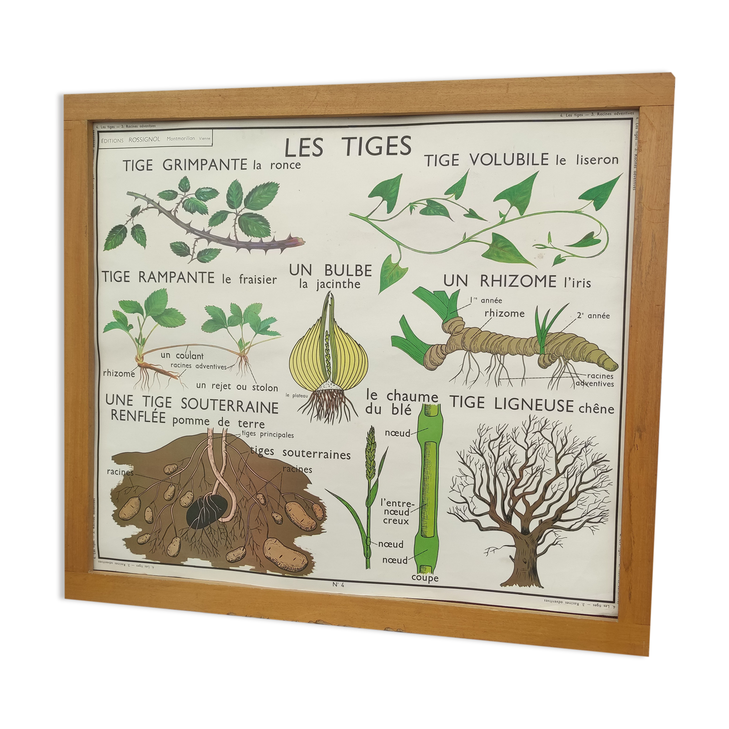 Educational and school poster