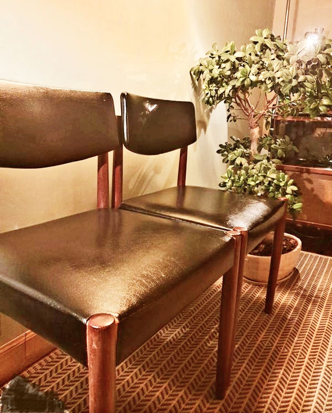 Lot 4 Scandinavian chairs Zetel Behaagt vintage 70s