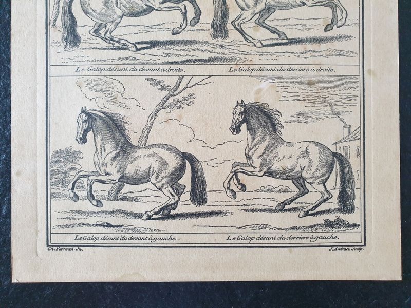 Engraving by Jean Audran (1667-1756) - After Charles Parrocel (1688-1752) - Engraving titled "Alures