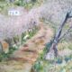 Impressionist oil on panel, spring landscape, signed, framed
