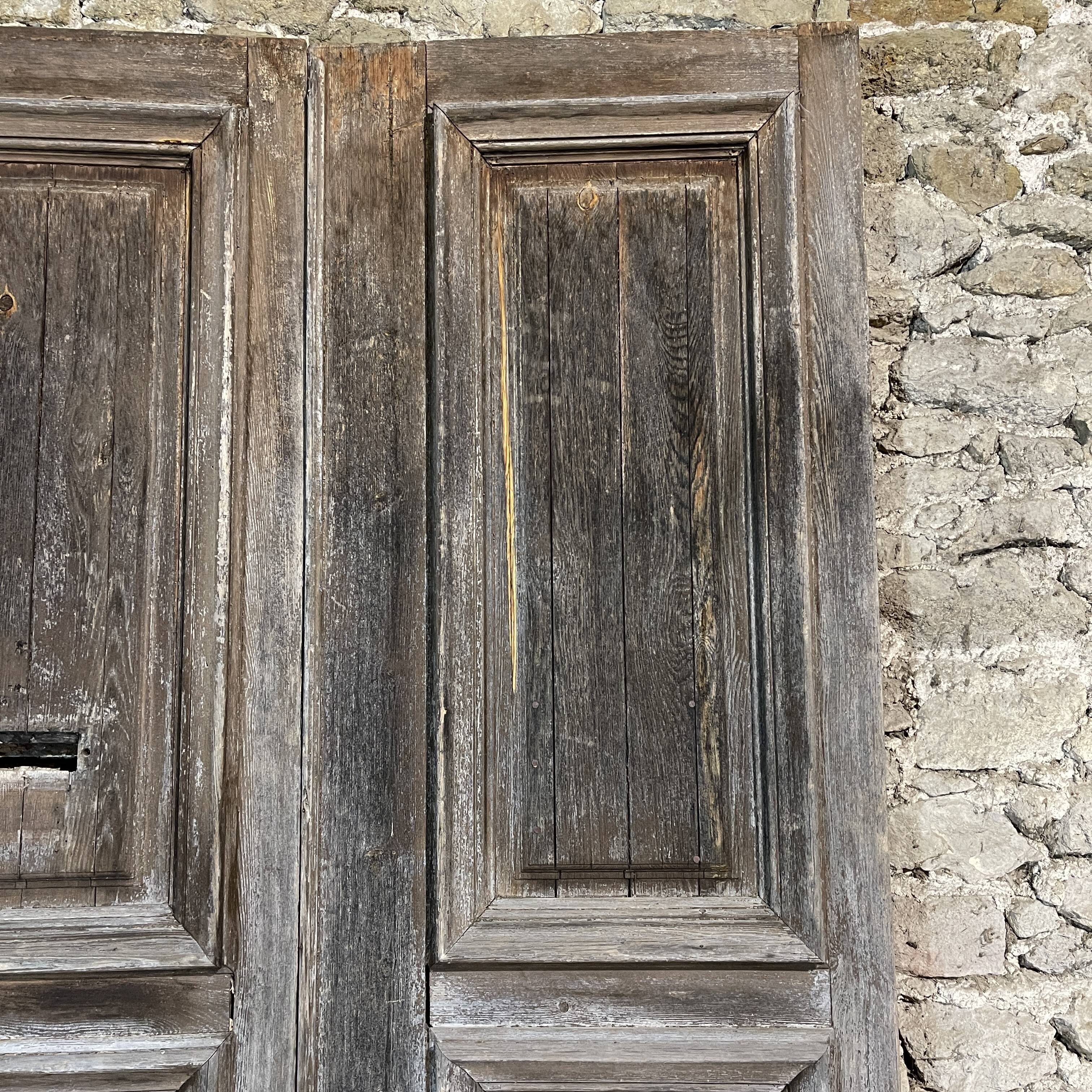 Double old oak door
