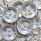 8 flat ironstone plates “Fleurette” Gien