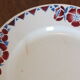 + 6 flat plates Céranord - Saint Amand model Eglantines Lot 2 +
