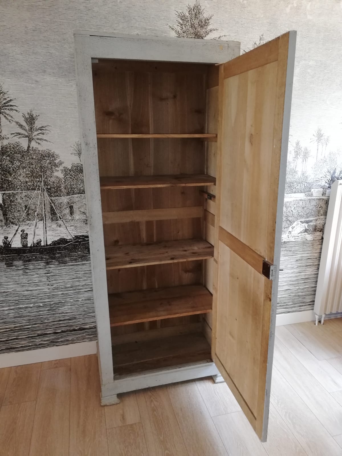 Old Parisian wardrobe 19th century