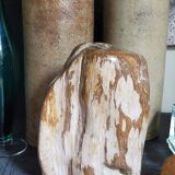Free form sculpture in fossil wood
